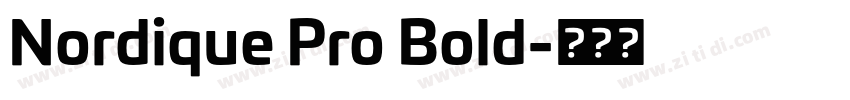 Nordique Pro Bold字体转换